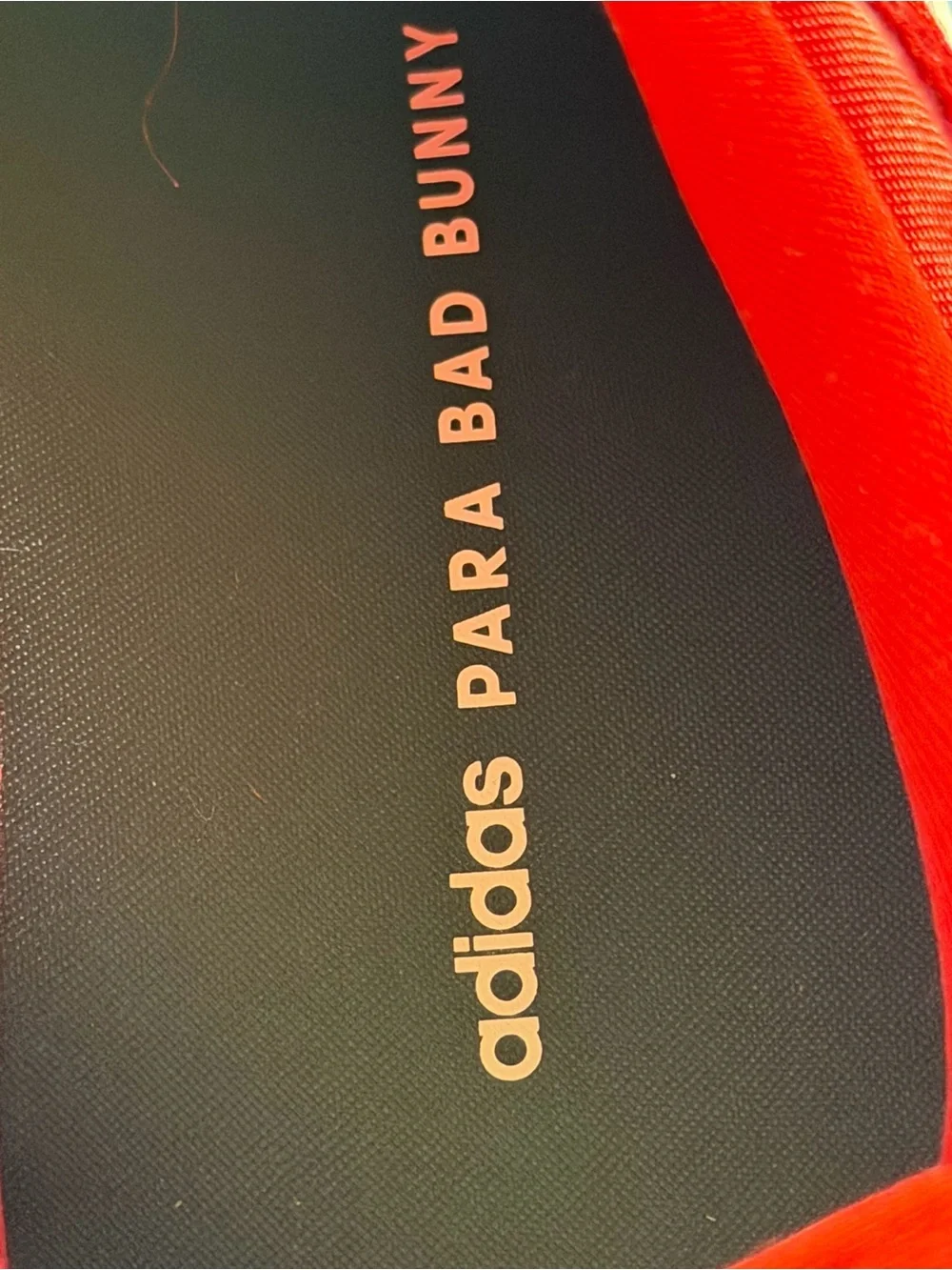 Adidas X Bad Bunny